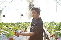 ニコニコファーム いちご農園ツアー 〜減農薬で育てる絶品いちごの秘密〜