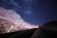 おおだいフォトコン応募作品