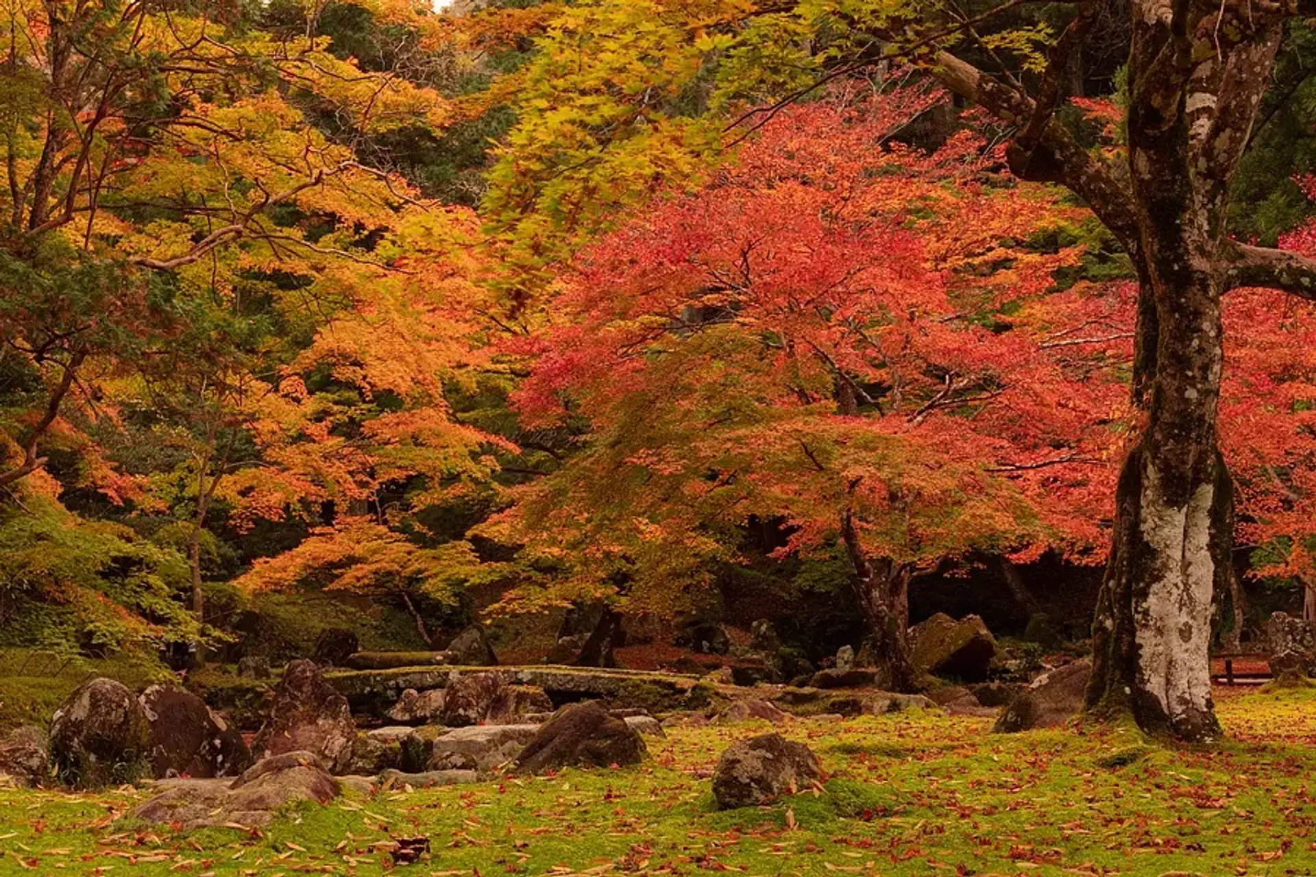 三重県の紅葉の名所（北畠神社の紅葉・スポット写真）