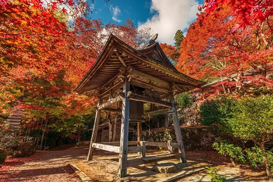 Special feature on autumn leaves in Mie Prefecture