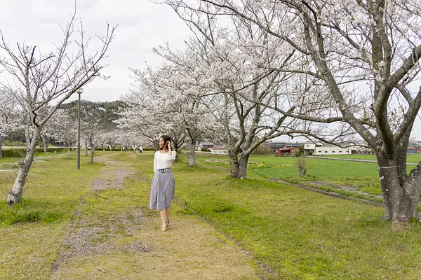 キャスターマミの画像