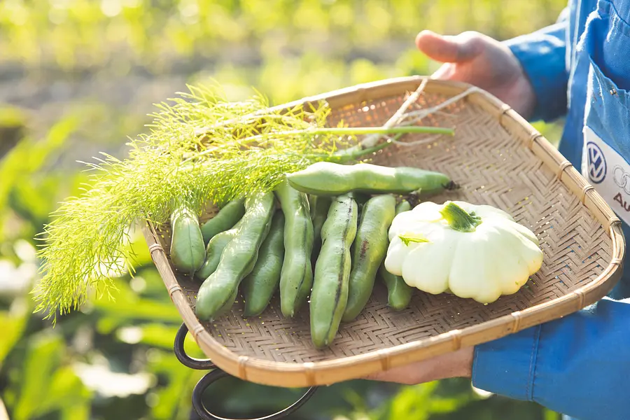 【ディナーグレードアップ】 料理長厳選、季節のフレンチコースを堪能