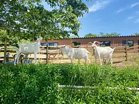 地形を活かしためーべーぞーん