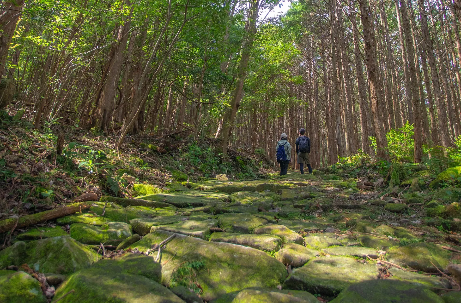 世界遺産・熊野古道　馬越峠 