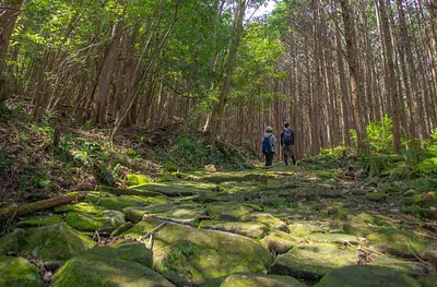 世界遺産・熊野古道　馬越峠 