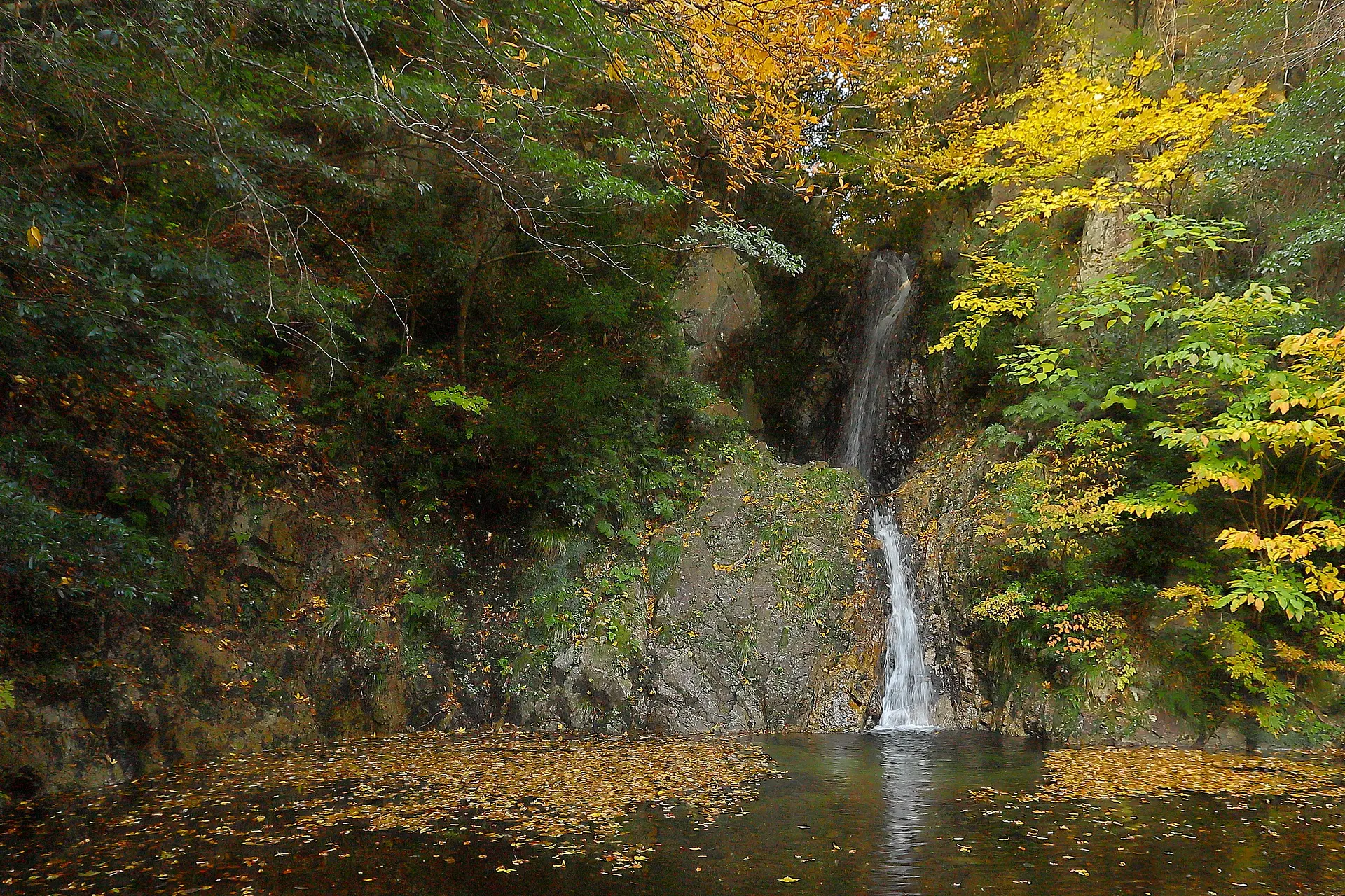 キャンプ場近くの御所滝