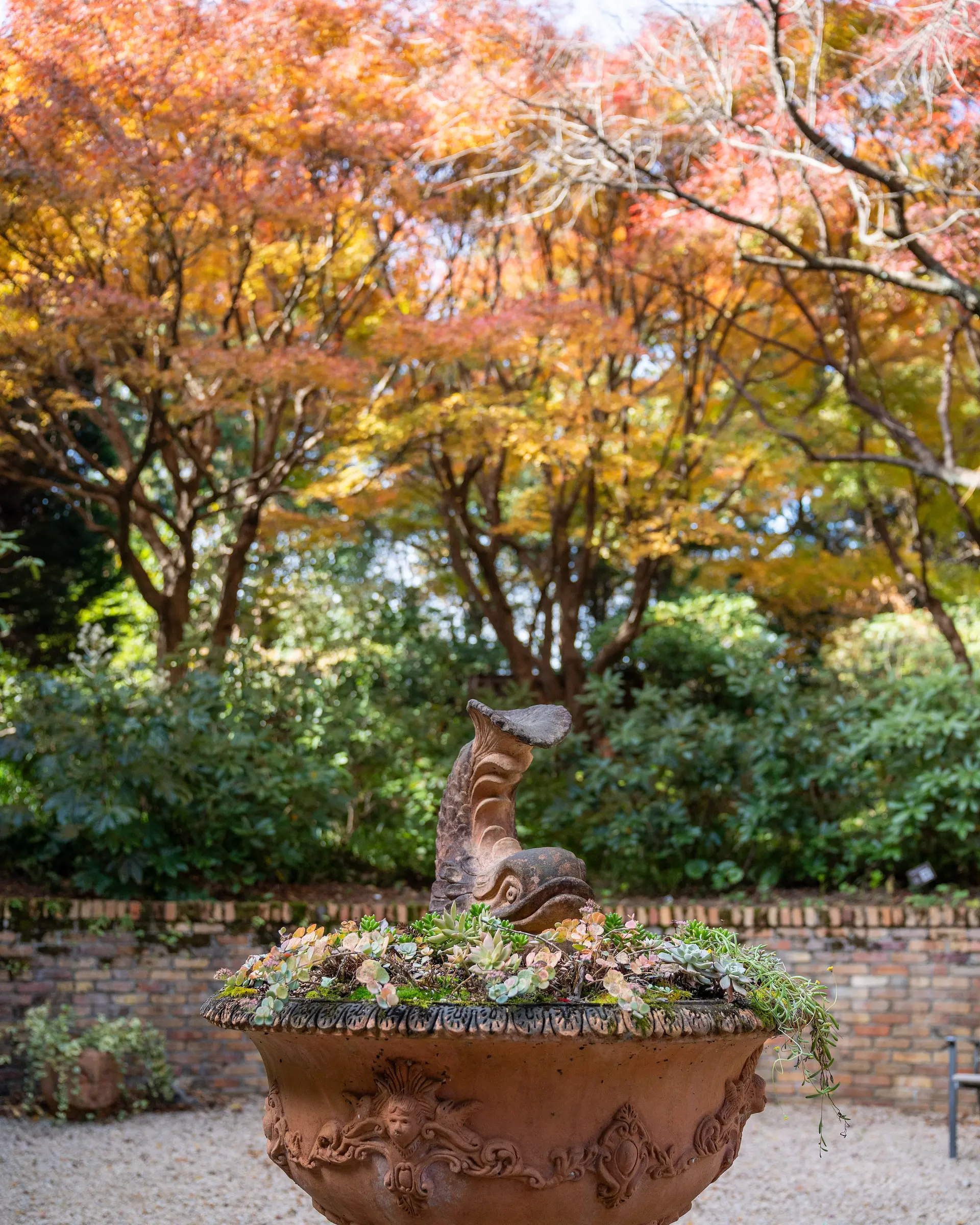 ひだまりの中庭