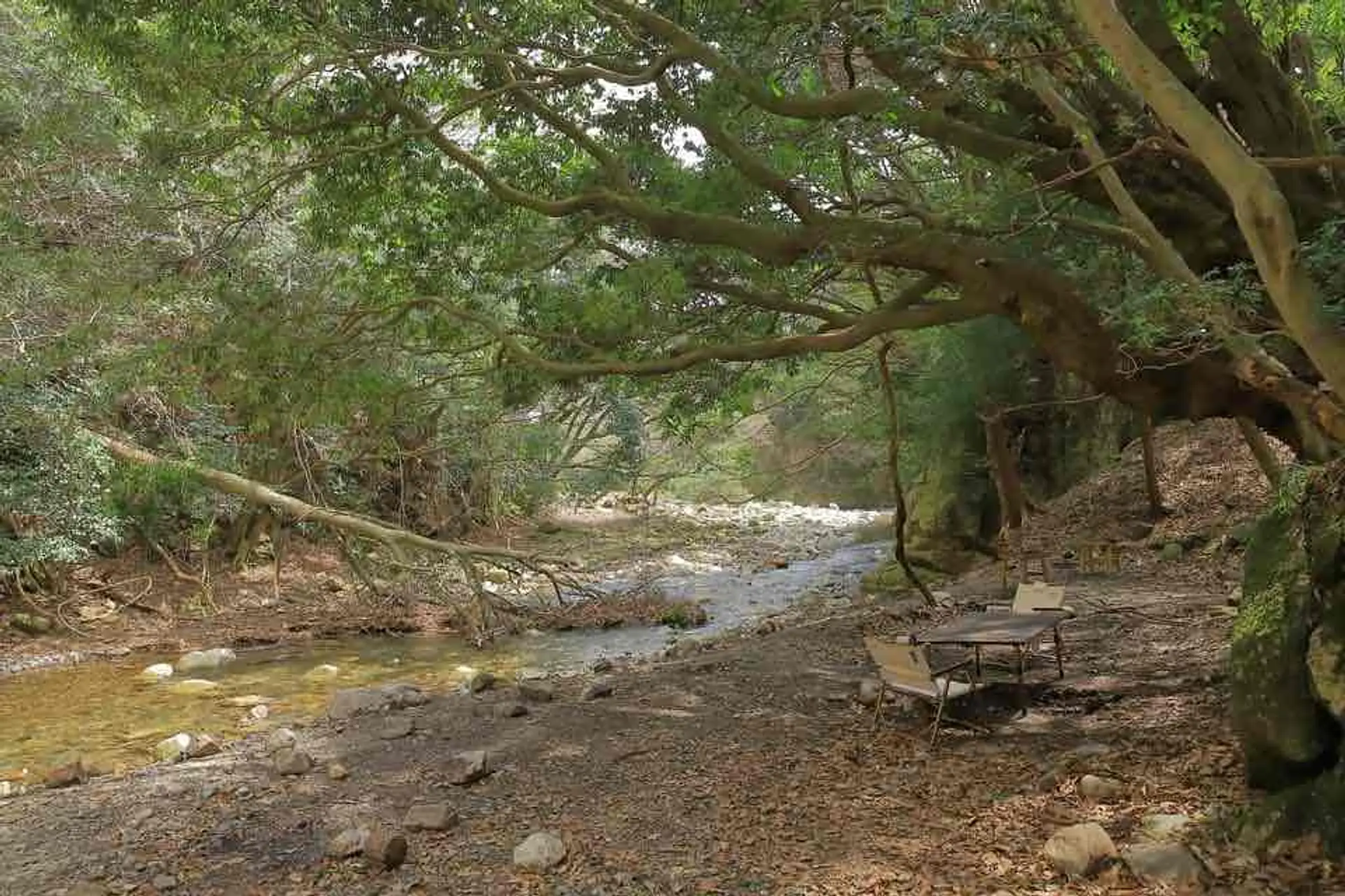 川遊びはこちらへ