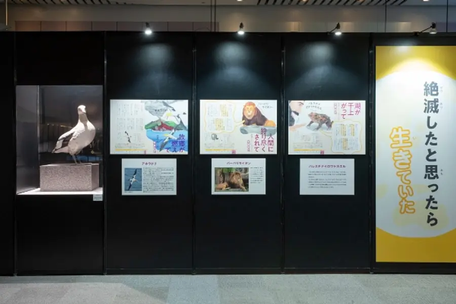 図鑑の世界が展覧会に！