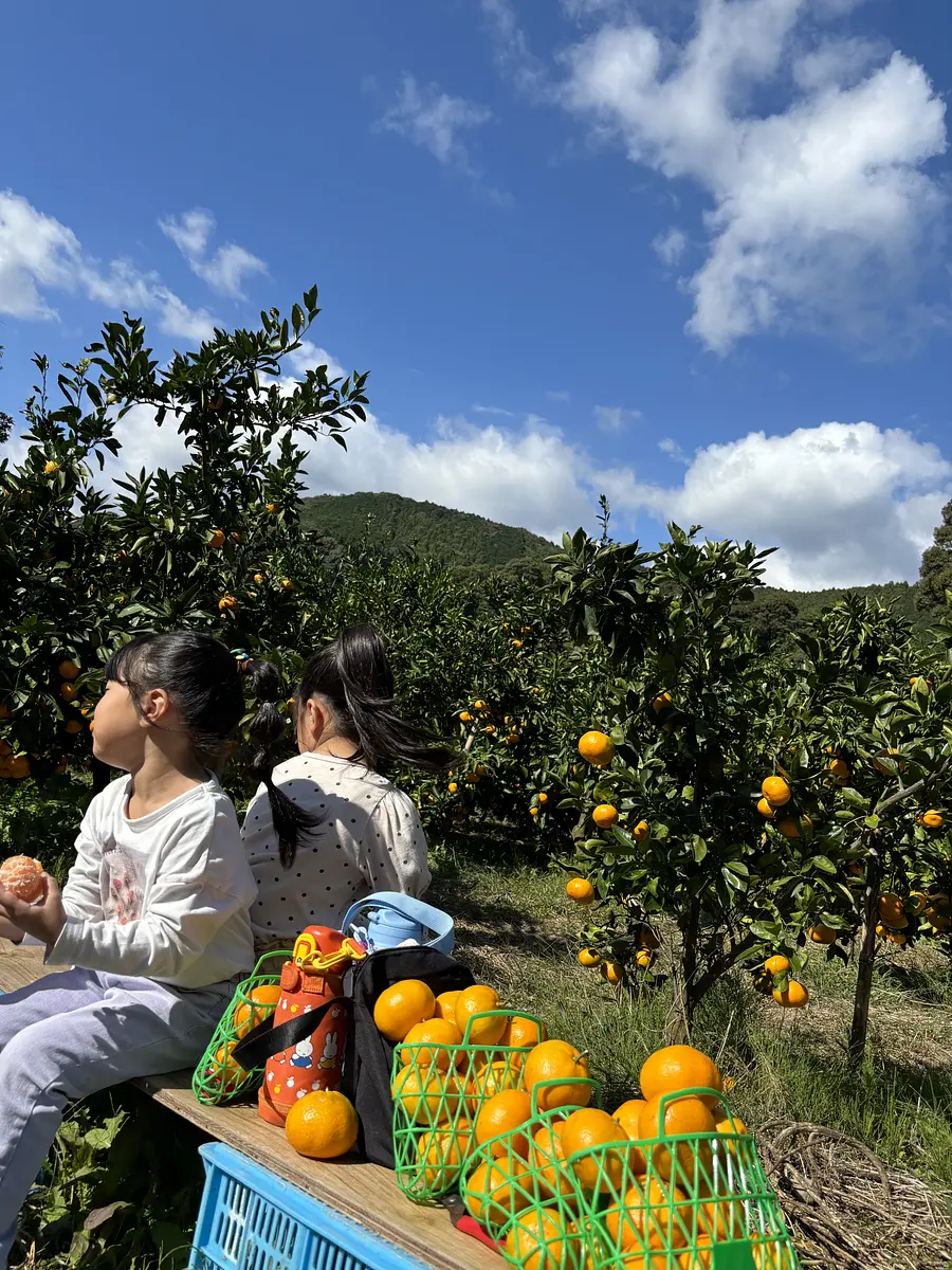 ないぜしぜん村
