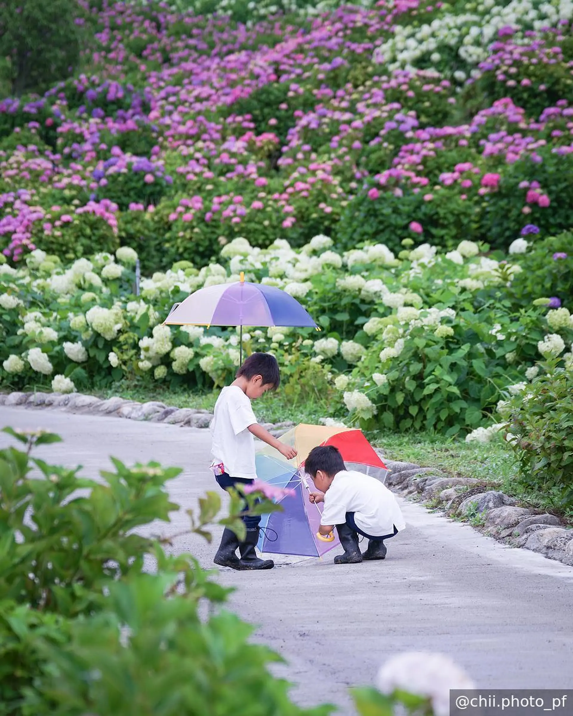 雨の日も絶景！