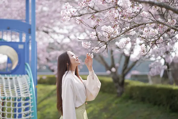 キャスターマミの画像