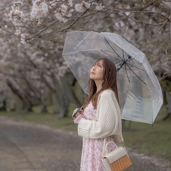 キャスターマミの画像