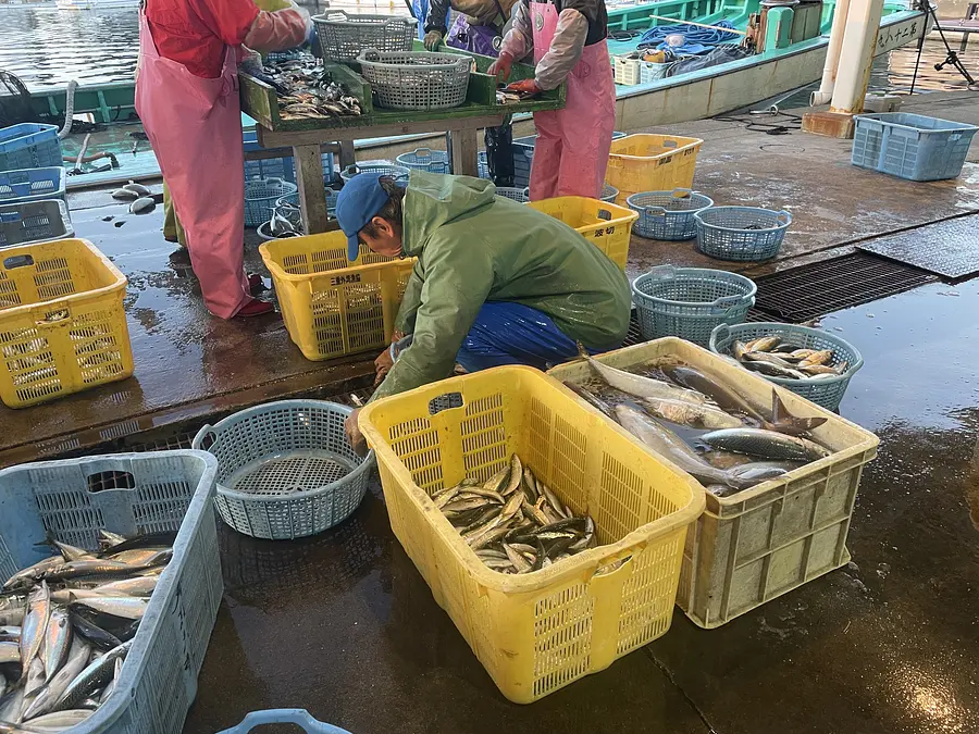 fish market