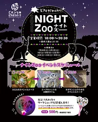 ナイトZoo