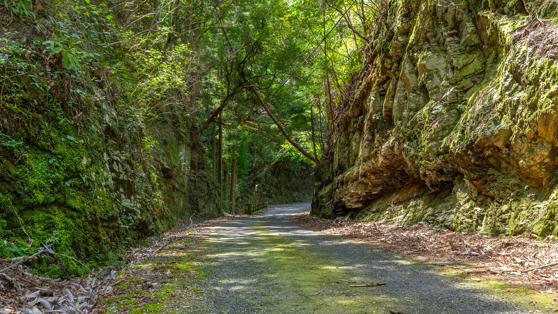 迫力のある切通し