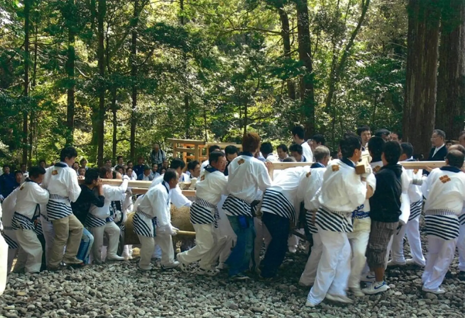 第63回神宮式年遷宮瀧原宮御木曳行事」に参加しませんか？皆さんも一般
