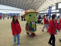 昨年のもよう