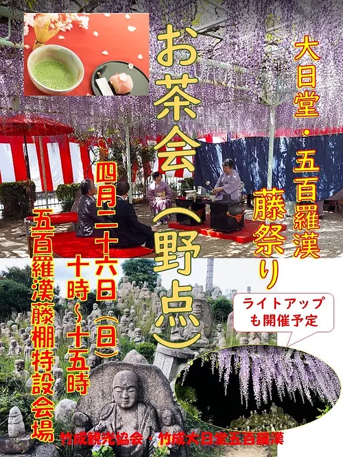 大日堂・五百羅漢・藤祭り　お茶会（野点）