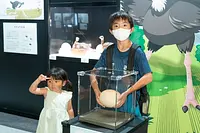 実際に触れると、見ているだけじゃわからない 発見がいっぱい！