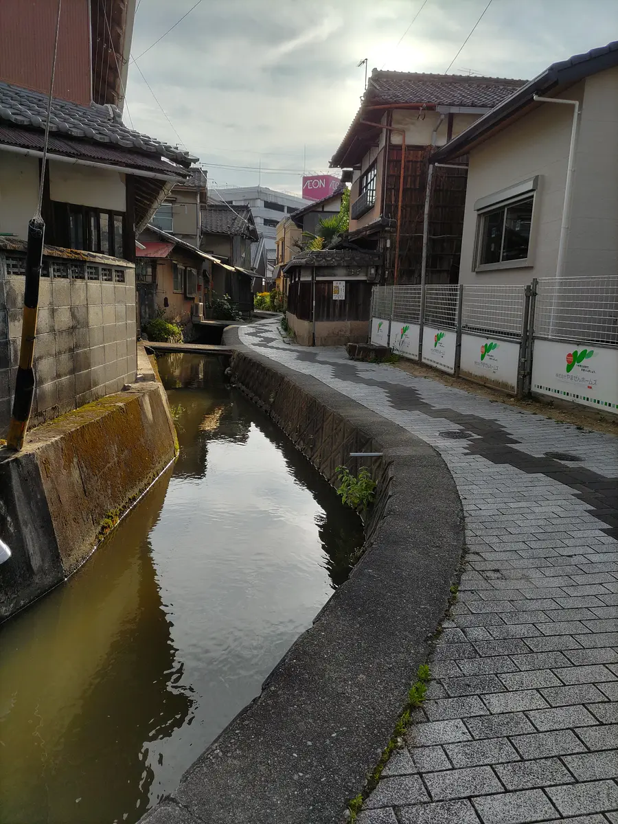 城下川　花筏
