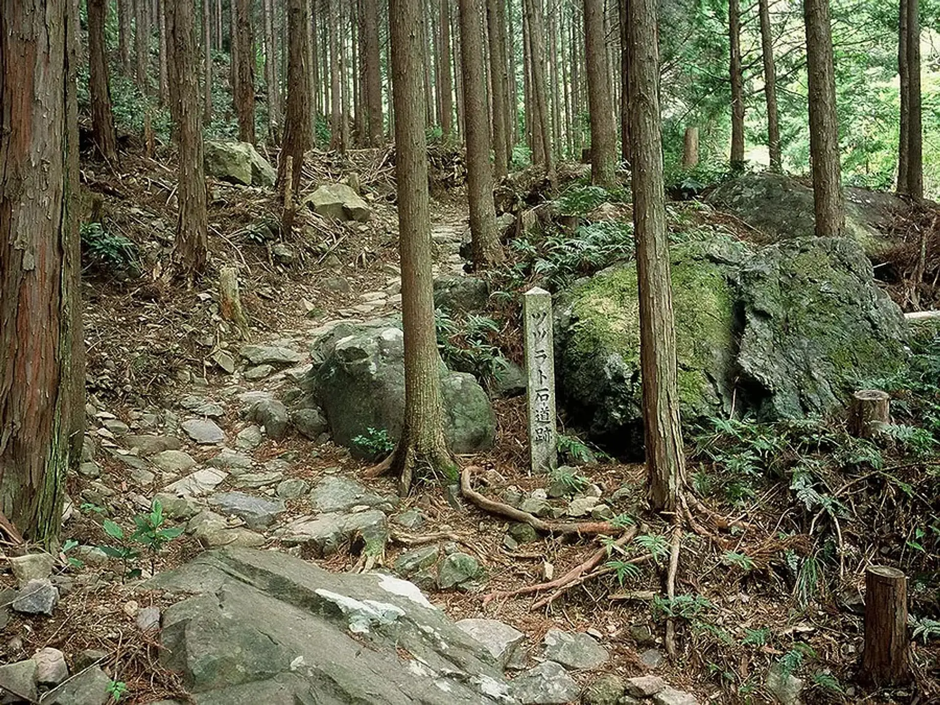 熊野古道 ツヅラト峠