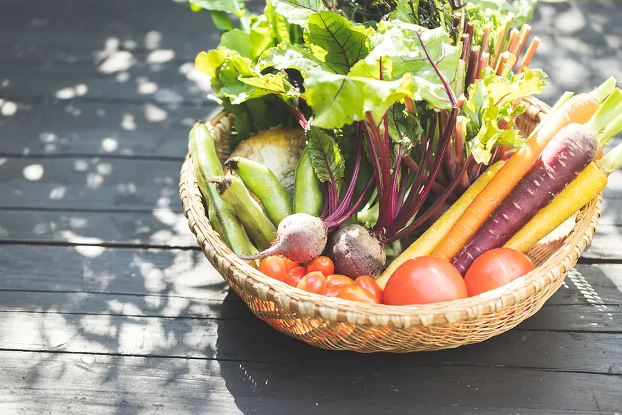 【ディナーグレードアップ】 料理長厳選、季節のフレンチコースを堪能