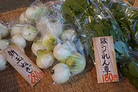 5月横丁朔日朝市