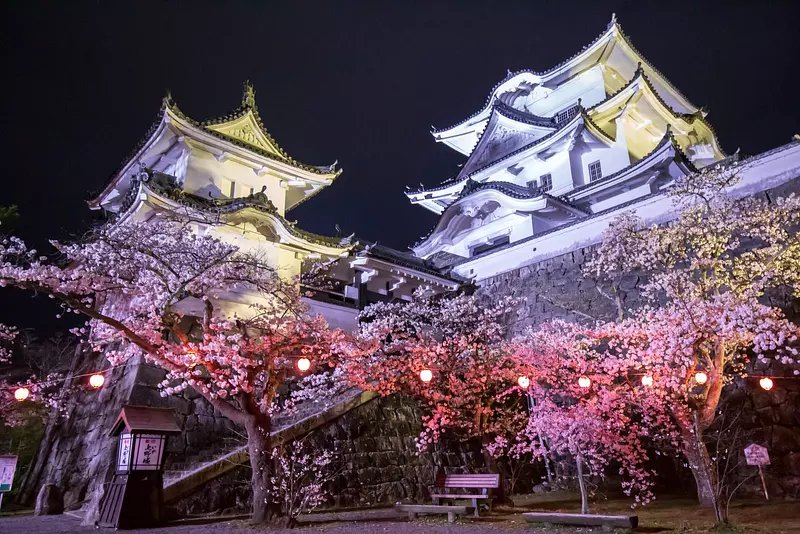 三重県の”絶対行きたい”桜の名所をご紹介！