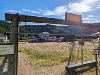 Jardín de flores de Nagoyaka (granja Itabuchi)