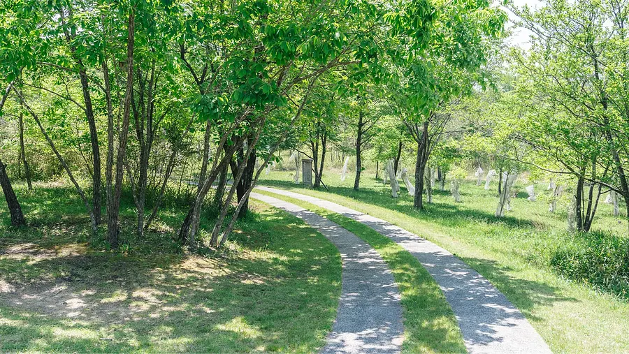 園内の散策路