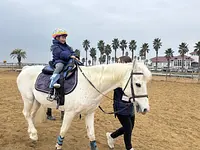 馬のお世話と乗馬体験