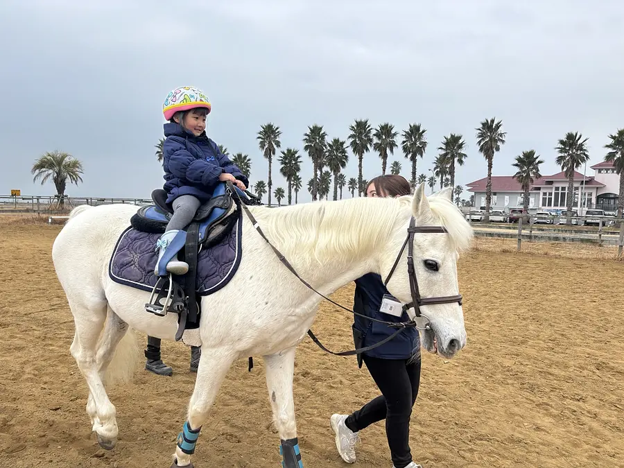 馬のお世話と乗馬体験