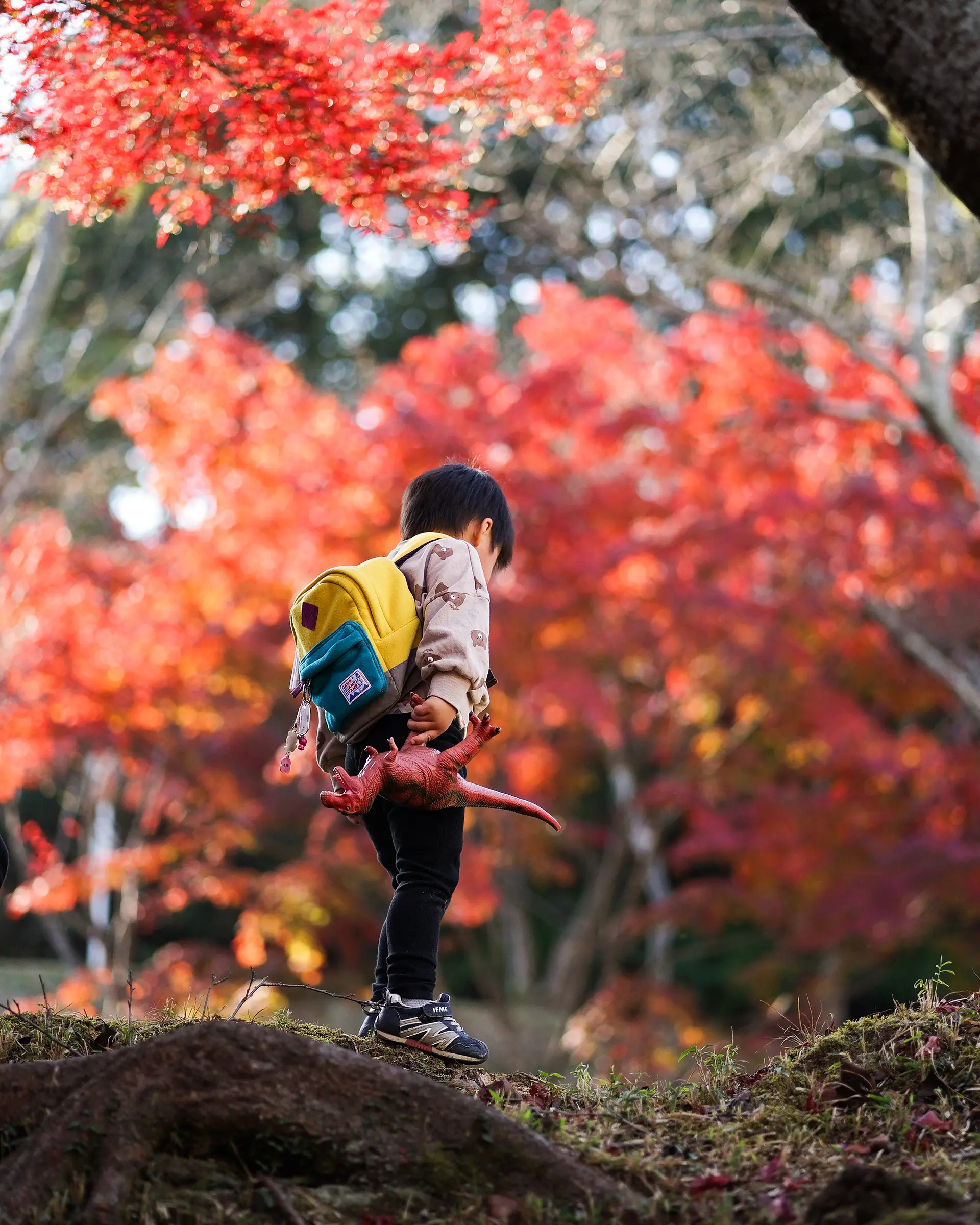 正法寺山荘跡