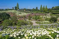 福祉と環境を融合した花園「かざはやの里」～かっぱのふるさと～