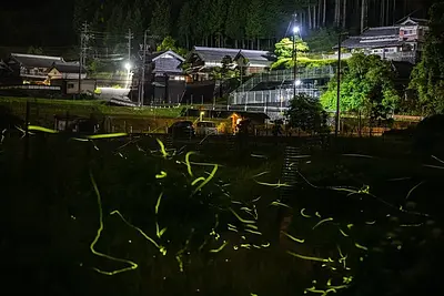 三重県のホタルの観賞スポット特集