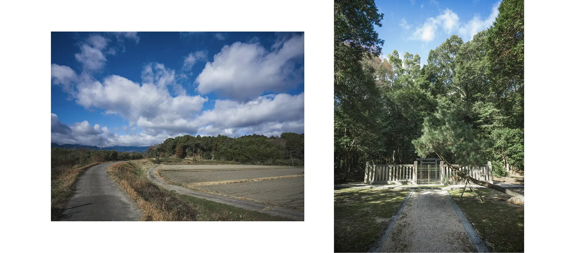 ヤマトタケル オトタチバナヒメ