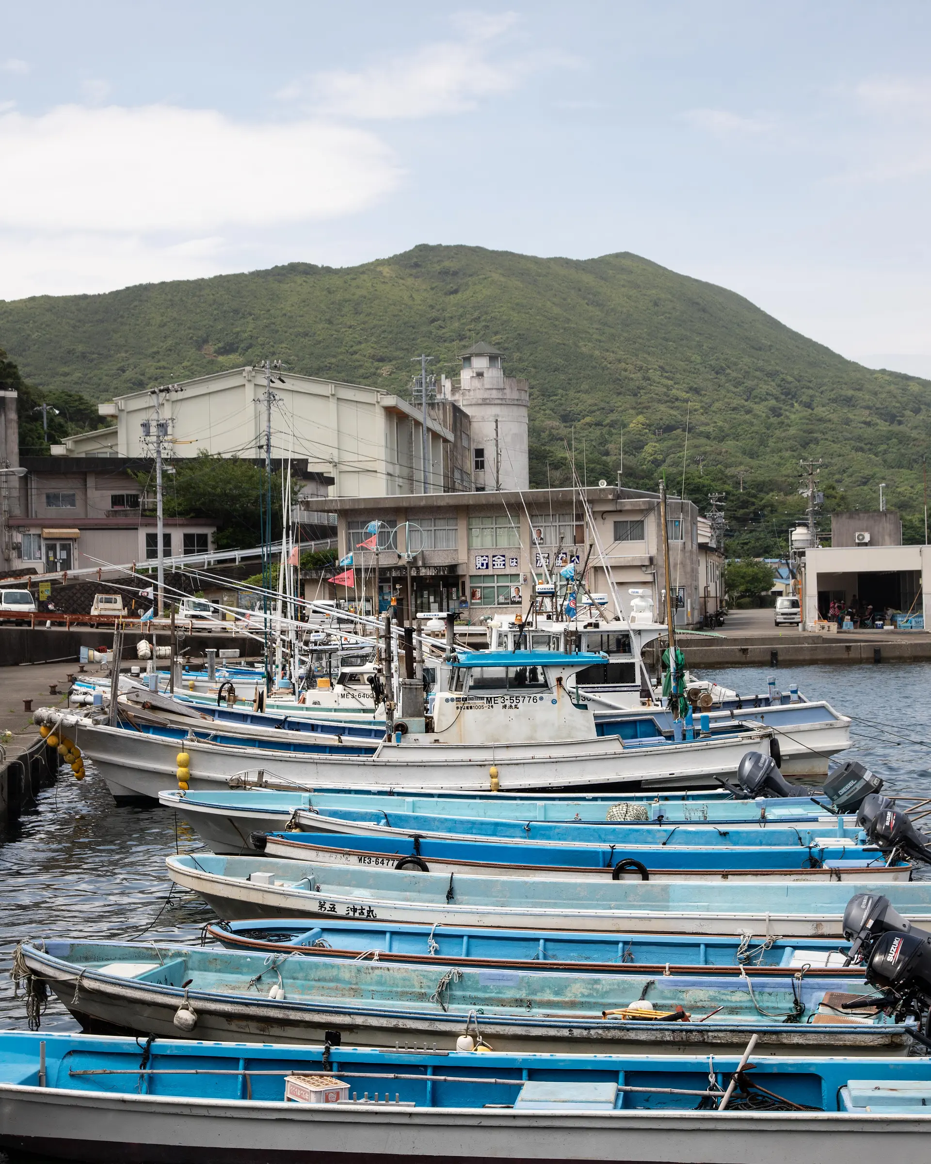 しろんご祭り02