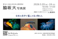第1回三重未来写真大賞受賞者　「脇坂 大 写真展」