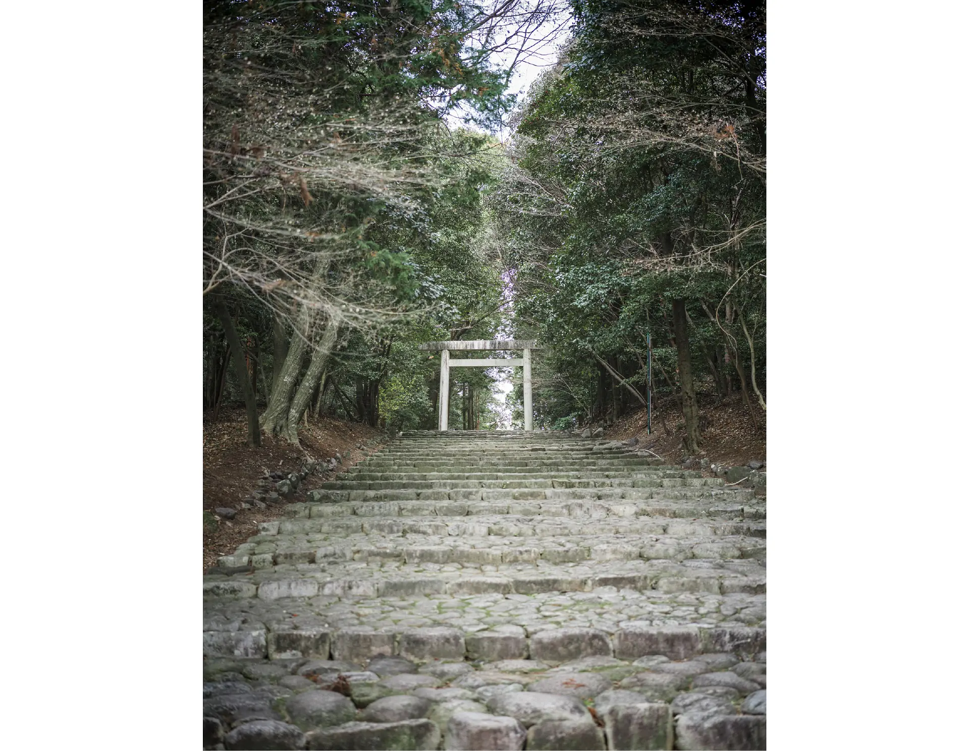 ヤマトタケル オトタチバナヒメ