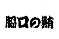 𦚰口の鮪（VISON）