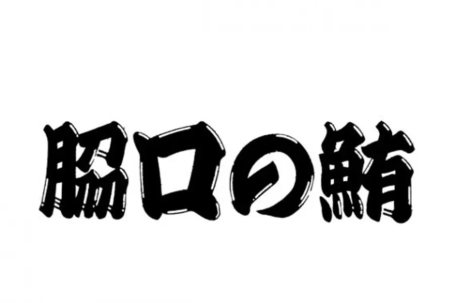 𦚰口の鮪（VISON）