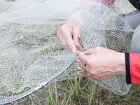 昆虫観察会　―8月 トンボ博士 刀根先生といく
