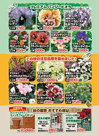 アカツカFFCパビリオン 30周年 大感謝祭