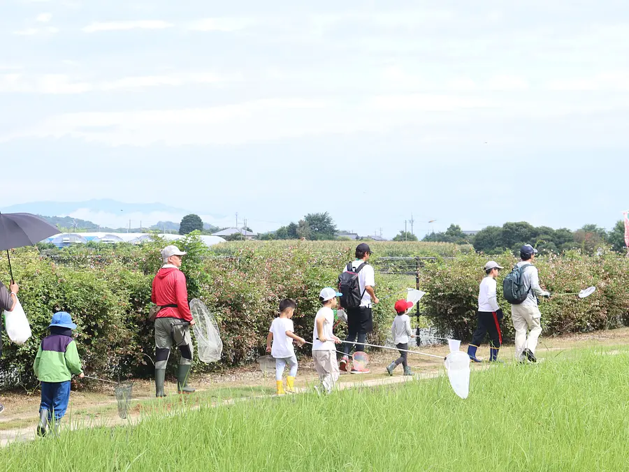 昆虫観察会　―8月 トンボ博士 刀根先生といく