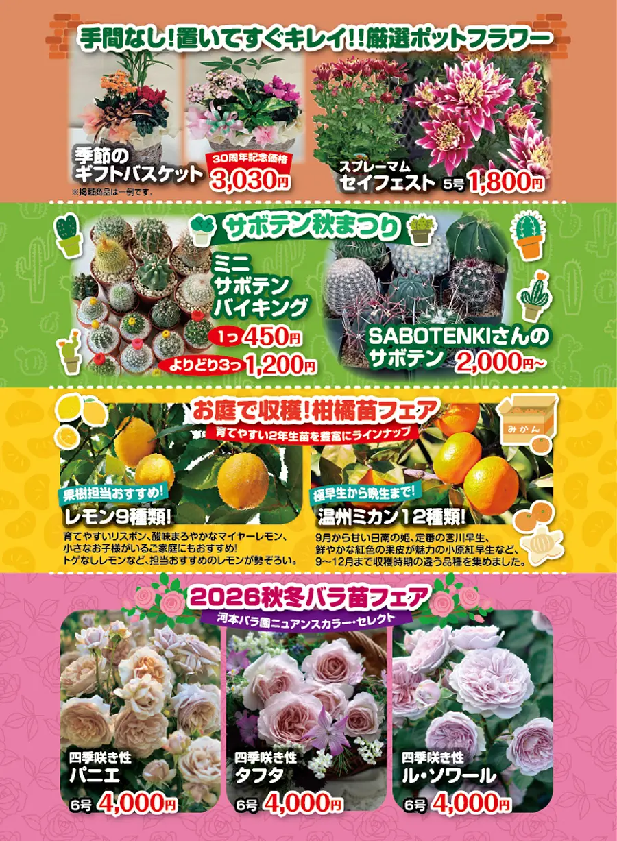 アカツカFFCパビリオン 30周年 大感謝祭