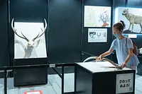 体験展示で絶滅について遊んで学ぼう！！