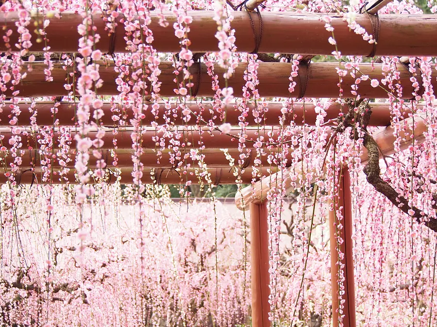 结城神社