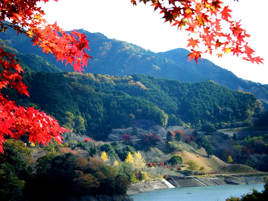 Kimigano Dam Park in autumn