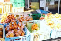 さぎりの里（みかん写真）